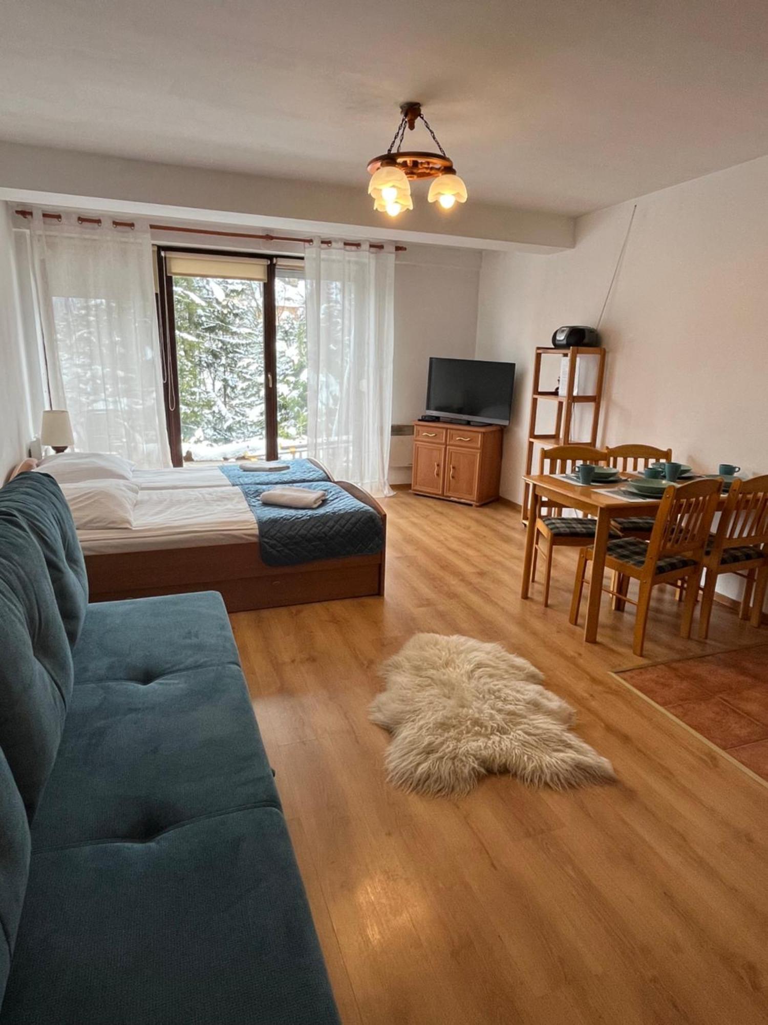 Apartament Widokowy 40 Kościelisko Buitenkant foto